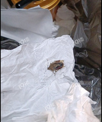 ������������ѧУ����ҧ�� ������ʶ����ʲô����