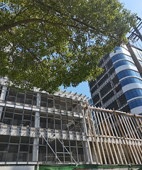 �л���·������·����ڣ������ڽ�ʲô��