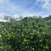 ȥ�ϱ���������