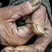 �Ҳ����۰�������๤