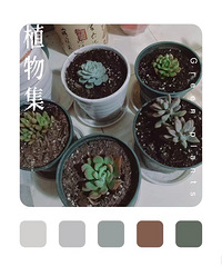 10块的快乐~就是不知道在我手里能不能整活
