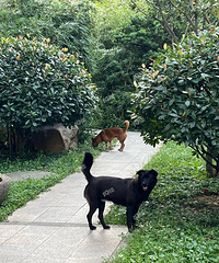 ������ʿVS�¹���ʿ��������˹���֪����û�и��õİ취��