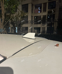 С�����������Сβ���Ǹ����õģ�����֪����