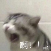 ���Ӳ��ܺ��·�һ��ϴ