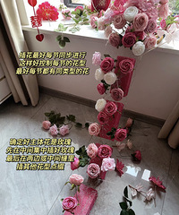 ������滨�ٲ��̳̣���������һ���ο�