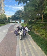 С��������è�Ѿ������ˡ����ǰ�è��ʿ����������