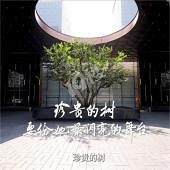 �̳��й�����ӡ����ͼ