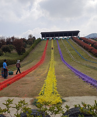 С�𳵡�ιС������ݡ��ʺ绬��...����ԭ��С���治����