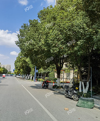 ������·�����������̫���ˡ�