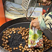 ���ǳ����ӵļ���