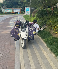 ����è�������� �ܲ��ܱ�ι�ˡ�