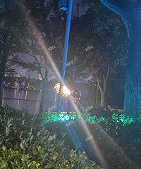 �Ϻ��߷��̻��������ⲻ����