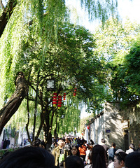 �������滹���� ������ĩ��Ĳ�̫�Ƽ�����̫�������׷��ꡭ