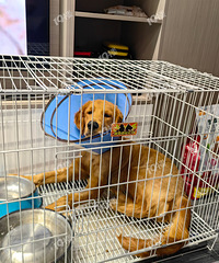 ��������������ĵ���һ���𣿶��������ﻹ��¥���ھ�Ͷ�ߡ�