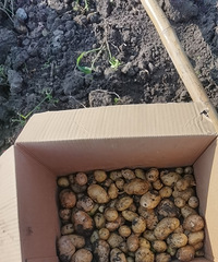 ����һ��������������