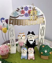 �ɰ���èè��̨