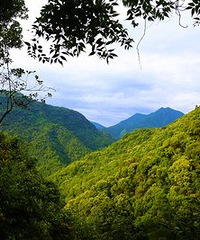 �׶�԰���ǻ�����̿γ�ȥ���������Ų�������ٳ�ȥ��