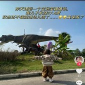 �����������׶�԰��