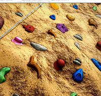 ��Щ���Ǻ����Ǹ�ѧ�ļ��� ��ȥѧʲô�赸���ٸ���������