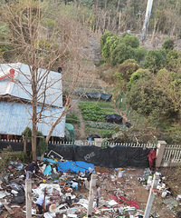 ʵ��¥�£���ʢ��԰����������� ��������֪����Ҫװʲô��