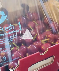 ���˽������������ӿ����ˣ�3000һ�䣬�ֳ���ɽ�˺���������