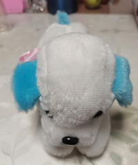 С����ϲ��ë���޵Ķ������Ҽ����м�ʮ���������޷����ܣ�