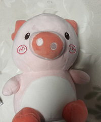 С����ϲ��ë���޵Ķ������Ҽ����м�ʮ���������޷����ܣ�