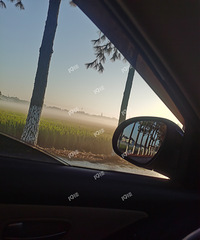 �����ĵ�������ƮƮ��