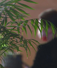 ѧ��11�򣡼����ϰ��ﱨ���߶���ѵ��  �����