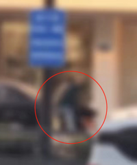 ������Ϊ��Ҫ���������������������Σ�� ��Ҷ�˵��