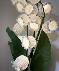 �����Ż��߹��Ŷ��úÿ���׼����ʼװ�޻鷿