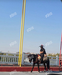 ���������ﵽ�������ˣ��ö��˶�������ط�ż�����ˣ�