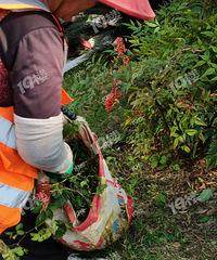 ����ף���Ѯ��̫�Ǵ�ƽ���������֡������ԣ�