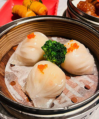 5.8���Żݵĸ�ʽ��� Ϻ�ȸ�ͷ�ܴ�