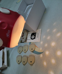 ����֯��������»������Ͽ��Ե���Сҹ�� �����Բ������ƬͶӰ