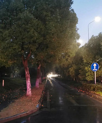 ����������С·�ܽ�ֹ�ǻ�����ͨ����