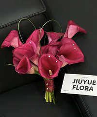 ������������̫����