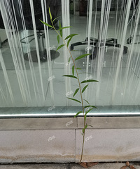 ����ǿ����˭֪������ʲô����