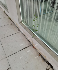 ����ǿ����˭֪������ʲô����