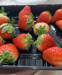 [𾪣]8Ǯһŵĵݮ о˰