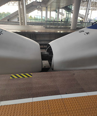 ��̨��г�Ŷ����������Խӵ� ����ʶ�ˣ�