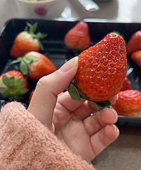 8��һ�ŵĵ�����ݮ ��ֱ��������˰��