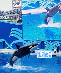 ����˫���꿨769�����̫���ˣ�ȥ��2�ξ��ܻر���