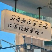 ����һֱ������̥