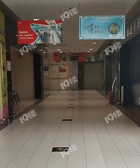 ���ڼ��˺ö���ж����������о���Ҳ��Ҳ�첻���ˡ�