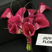 ������������̫����