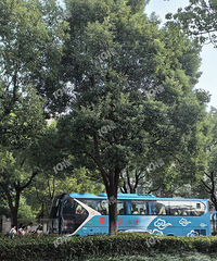 ��ô������λ�û�����𣿿����ö�Сѧ���Ŷ�����ͳ���