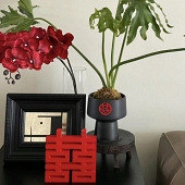 �鷿������ϲ�͹���