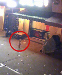 ȫ�����ޣ��賿3��İ����̣��������90��򸾳����ˣ�