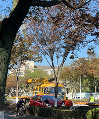 ͻ����ײ���ˣ�������ͷ���ˣ�